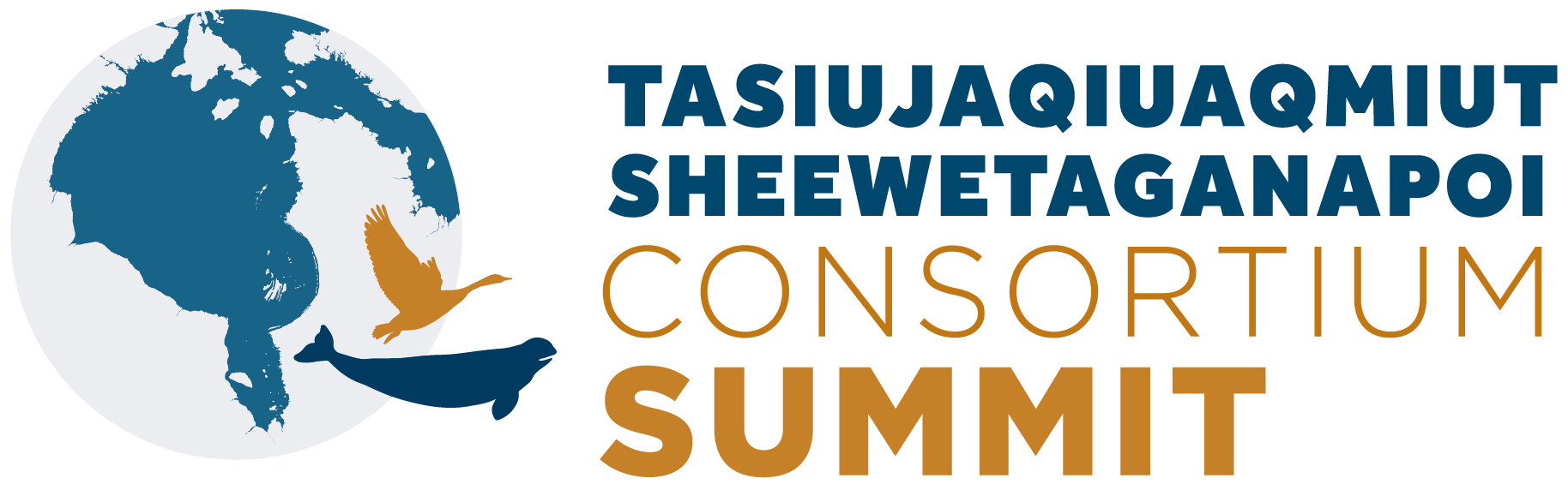 TSC summit logo